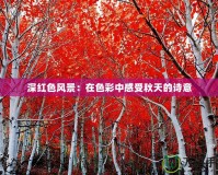 深紅色風(fēng)景：在色彩中感受秋天的詩意