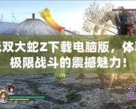 無雙大蛇Z下載電腦版，體驗極限戰(zhàn)斗的震撼魅力！