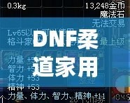 DNF柔道家用什么武器PK最強(qiáng)？掌握這些，你也能成為戰(zhàn)場(chǎng)王者！