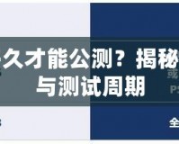 網(wǎng)游封測(cè)多久才能公測(cè)？揭秘背后的開(kāi)發(fā)與測(cè)試周期