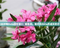 見血封喉Dota回憶錄3：那些年，我們與Dota共成長的日子