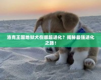 洛克王國(guó)地獄犬在哪超進(jìn)化？揭秘最強(qiáng)進(jìn)化之路！