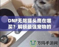 DNF無限貓頭鷹在哪買？解鎖最強寵物的購買途徑與技巧！