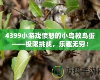 4399小游戲憤怒的小鳥(niǎo)救鳥(niǎo)蛋——極限挑戰(zhàn)，樂(lè)趣無(wú)窮！