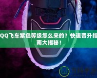 QQ飛車紫色等級怎么來的？快速晉升指南大揭秘！