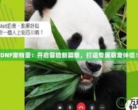 《DNF寵物蛋：開啟冒險(xiǎn)新篇章，打造專屬萌寵伴侶！》