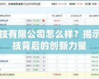 比比科技有限公司怎么樣？揭示領(lǐng)先科技背后的創(chuàng)新力量