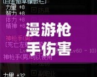 漫游槍手傷害高嗎？深入分析《游戲名字》中的職業(yè)定位與玩法優(yōu)勢