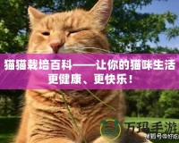 貓貓栽培百科——讓你的貓咪生活更健康、更快樂！