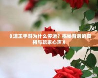 《道王手游為什么停運(yùn)？揭秘背后的真相與玩家心聲》