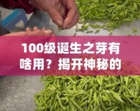 100級(jí)誕生之芽有啥用？揭開神秘的面紗，探索無(wú)限可能！