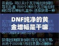 DNF純凈的黃金增幅是干嘛的？深度解析與玩法技巧