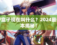 DNF盒子現(xiàn)在叫什么？2024最新版本揭秘！