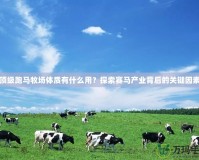 頂級(jí)跑馬牧場體質(zhì)有什么用？探索賽馬產(chǎn)業(yè)背后的關(guān)鍵因素