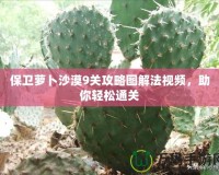 保衛(wèi)蘿卜沙漠9關(guān)攻略圖解法視頻，助你輕松通關(guān)