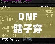 DNF瞎子穿什么甲？讓你秒變無(wú)敵的裝備選擇解析！