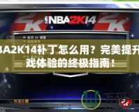 NBA2K14補丁怎么用？完美提升游戲體驗的終極指南！