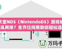 任天堂NDS（NintendoDS）游戲機(jī)怎么連網(wǎng)絡(luò)？全方位指南助你輕松連接