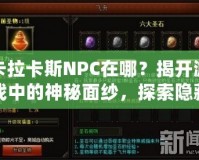 卡拉卡斯NPC在哪？揭開游戲中的神秘面紗，探索隱藏任務與寶藏