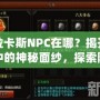 卡拉卡斯NPC在哪？揭開游戲中的神秘面紗，探索隱藏任務與寶藏