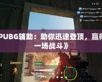 《PUBG輔助：助你迅速登頂，贏得每一場戰(zhàn)斗》