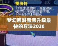 夢幻西游寶寶升級最快的方法2020