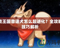 洛克王國(guó)音速犬怎么超進(jìn)化？全攻略與技巧解析