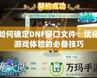 如何確定DNF窗口文件：優(yōu)化游戲體驗(yàn)的必備技巧