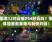 三國(guó)志12對(duì)戰(zhàn)版PS4好玩嗎？帶你體驗(yàn)極致策略與暢快對(duì)戰(zhàn)！