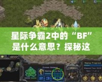 星際爭霸2中的“BF”是什么意思？探秘這個(gè)詞匯背后的深層含義