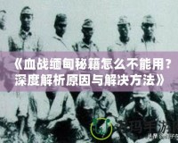 《血戰(zhàn)緬甸秘籍怎么不能用？深度解析原因與解決方法》