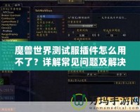 魔獸世界測試服插件怎么用不了？詳解常見問題及解決方案