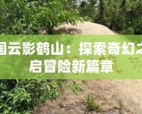 洛克王國(guó)云影鶴山：探索奇幻之地，開啟冒險(xiǎn)新篇章