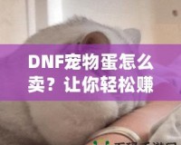 DNF寵物蛋怎么賣？讓你輕松賺取豐厚收益的實用技巧