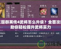 三國(guó)群英傳4武將怎么升級(jí)？全面攻略助你輕松提升武將實(shí)力