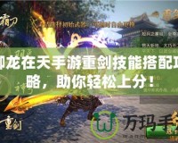 御龍?jiān)谔焓钟沃貏寄艽钆涔ヂ?，助你輕松上分！