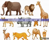 愛拍馬屁的動物是什么生肖？揭開生肖里的“馬屁精”秘密