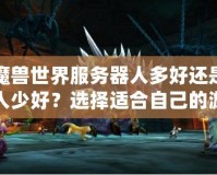 魔獸世界服務(wù)器人多好還是人少好？選擇適合自己的游戲體驗