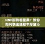 DNF搬磚哪里賣？教你如何快速賺取豐厚金幣，輕松變身游戲大佬！