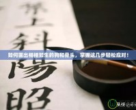 如何畫出栩栩如生的狗和骨頭，掌握這幾步輕松應(yīng)對！