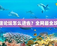 夢幻海底論壇怎么進去？全網(wǎng)最全攻略揭秘