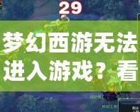 夢(mèng)幻西游無法進(jìn)入游戲？看這里，解決方案一網(wǎng)打盡！