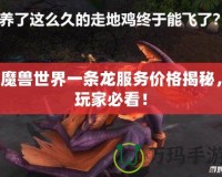 魔獸世界一條龍服務(wù)價格揭秘，玩家必看！