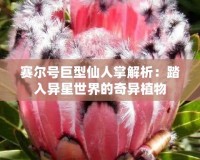 賽爾號巨型仙人掌解析：踏入異星世界的奇異植物