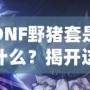 DNF野豬套是什么？揭開這套裝備的神秘面紗，助你征戰(zhàn)地下城！