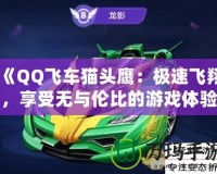 《QQ飛車貓頭鷹：極速飛翔，享受無與倫比的游戲體驗(yàn)》