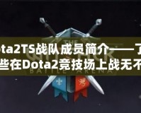 Dota2TS戰(zhàn)隊(duì)成員簡介——了解那些在Dota2競技場上戰(zhàn)無不勝的英雄