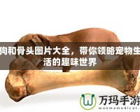 狗和骨頭圖片大全，帶你領(lǐng)略寵物生活的趣味世界