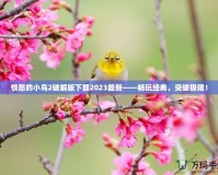 憤怒的小鳥2破解版下載2023最新——暢玩經(jīng)典，突破極限！