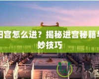 殘陽宮怎么進(jìn)？揭秘進(jìn)宮秘籍與絕妙技巧